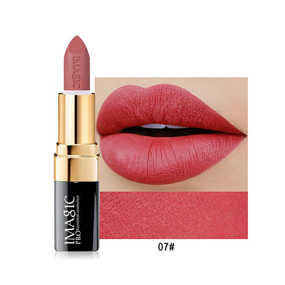 12-Color Lipstick Matte Waterproof Velvet Pigment Nude Rouge Waterproof Long Lasting Lip Profissional Cosmetics Beauty
