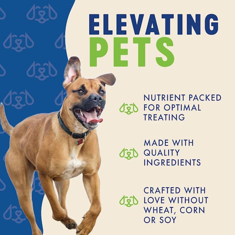 Apple Cinnamon Dog Biscuits Treats for Dogs Made in USA | Natural Apple Cinnamon Dog Treat | Wheat Free Dog Treats | Healthy Dog Treat Bags (12 Oz)