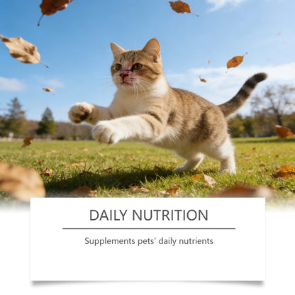 YEGBONG Cat Taurine & Multivitamin Powder – Heart, Vision & Immunity Supplement