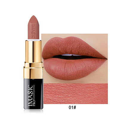 12-Color Lipstick Matte Waterproof Velvet Pigment Nude Rouge Waterproof Long Lasting Lip Profissional Cosmetics Beauty